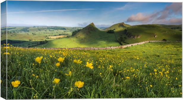Buttercups and Parkhouse Hill Canvas Print by John Finney