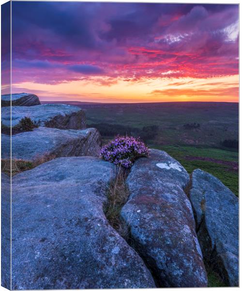 Peak District Purple Sunrise  Canvas Print by John Finney