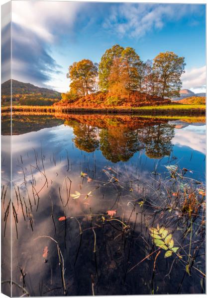 River Brathay Reflections  Canvas Print by John Finney