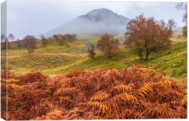 Autumnal Landscape of the Peak District Canvas Print by John Finney