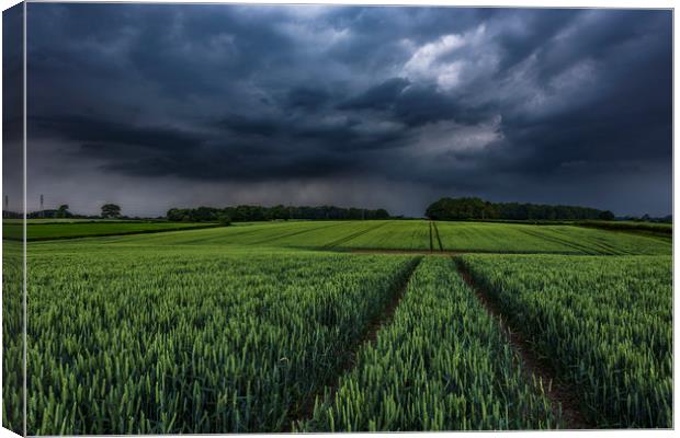 Wheat Crop Thunderstorm near Harrogate Canvas Print by John Finney