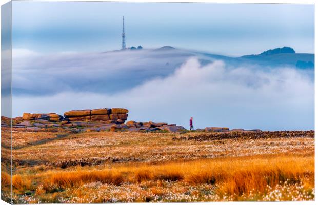 Stanage Edge Cotton Grass and Fog at sunrise Canvas Print by John Finney