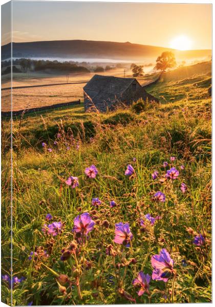 Hope Valley Summer Sunrise 2020. Peak District  Canvas Print by John Finney
