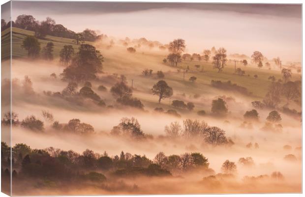 Hope Valley trees at sunrise Canvas Print by John Finney