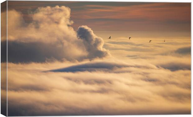 Birds flying over an inversion at sunrise Canvas Print by John Finney