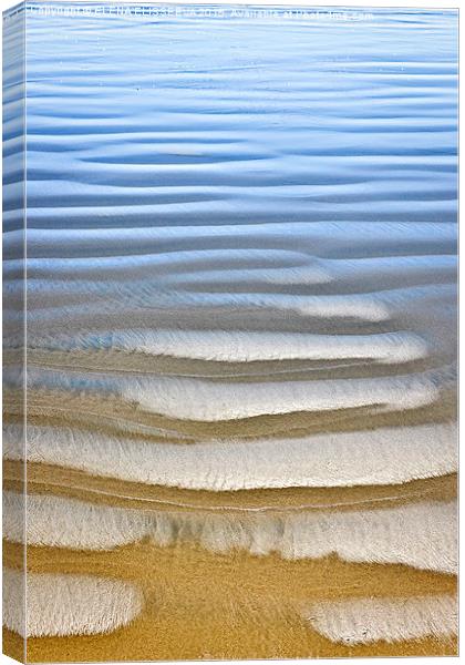 Wet sand texture on ocean shore Canvas Print by ELENA ELISSEEVA