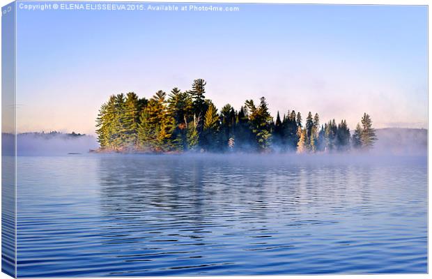 Island in lake with morning fog Canvas Print by ELENA ELISSEEVA