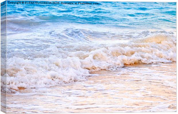 Waves breaking on tropical shore Canvas Print by ELENA ELISSEEVA
