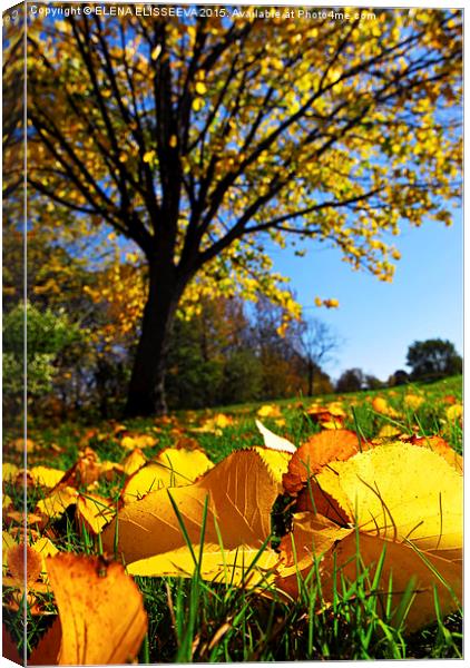 Autumn landscape Canvas Print by ELENA ELISSEEVA