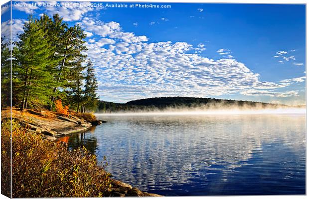 Autumn lake shore with fog Canvas Print by ELENA ELISSEEVA