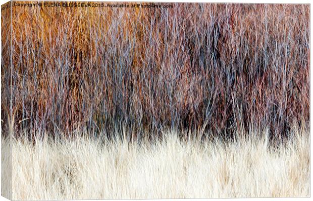 Winter woods abstract Canvas Print by ELENA ELISSEEVA