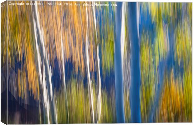 Blue birches on lake shore Canvas Print by ELENA ELISSEEVA