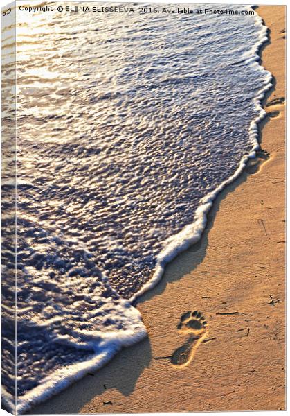 Tropical beach with footprints Canvas Print by ELENA ELISSEEVA