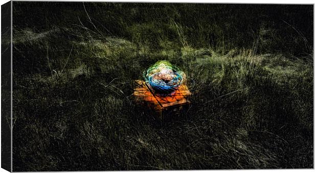 Bowl and Box in Grassy Field  Canvas Print by William Moore
