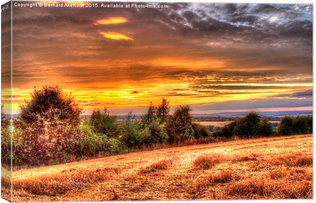  Golden Light On Golden Fields Canvas Print by Bernard Akehurst