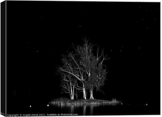 Sao Domingos Beach Islet at Night in Monochrome Canvas Print by Angelo DeVal