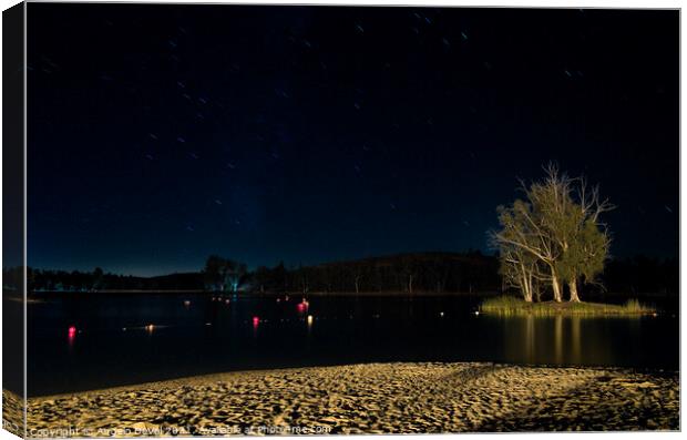 Sao Domingos Beach at Night Canvas Print by Angelo DeVal