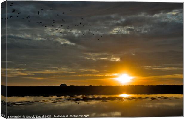 Birds Fly at Sunset in Faro Canvas Print by Angelo DeVal