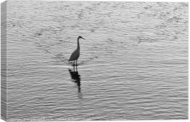 White Heron in Ria Formosa - Monochrome Canvas Print by Angelo DeVal