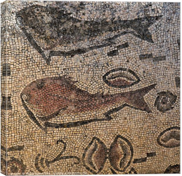 Roman Fish Mosaic of Milreu Canvas Print by Angelo DeVal