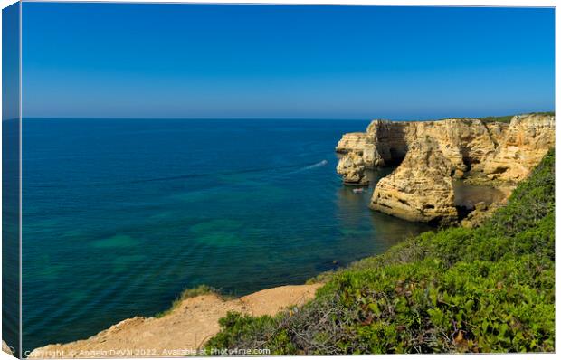 Cliffs and Vegetation in Marinha beach Canvas Print by Angelo DeVal