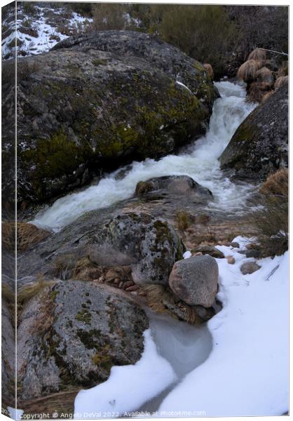 Serra da Estrela waterfalls and snow Canvas Print by Angelo DeVal