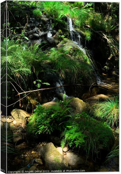 Waterfall and peaceful nature in Carvalhais Canvas Print by Angelo DeVal