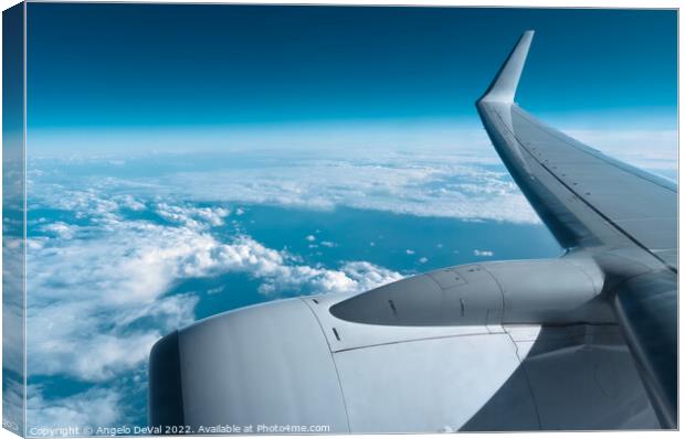 Travel and Freedom from Airplane Window Canvas Print by Angelo DeVal