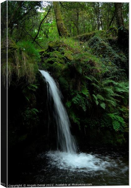 Waterfall in the middle of Carvalhais forest Canvas Print by Angelo DeVal