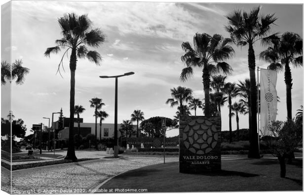 Vale do Lobo Roundabout Canvas Print by Angelo DeVal