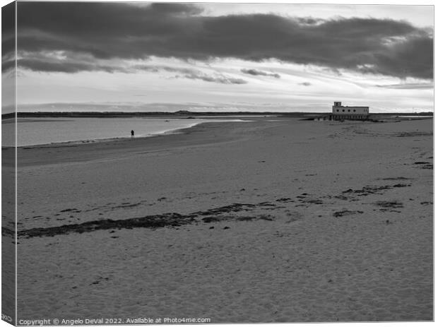 Fuseta Beach Monochrome Moment Canvas Print by Angelo DeVal