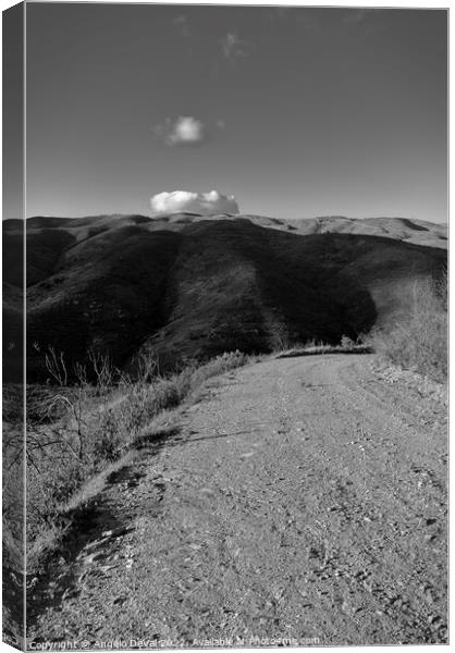 Gravel Roads of Caldeirao in Monochrome Canvas Print by Angelo DeVal