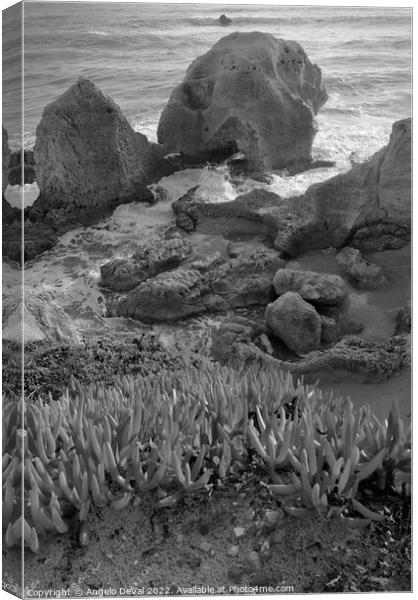 Nature of Gale Beach in Monochrome Canvas Print by Angelo DeVal