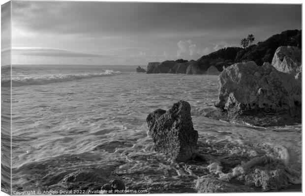 Tidal Waves in Gale Beach - Monochrome Canvas Print by Angelo DeVal