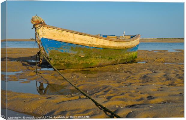 Old Wooden Fishing Boat in Algarve Canvas Print by Angelo DeVal