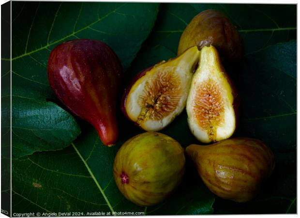 Sweet Figs on Leaves Canvas Print by Angelo DeVal