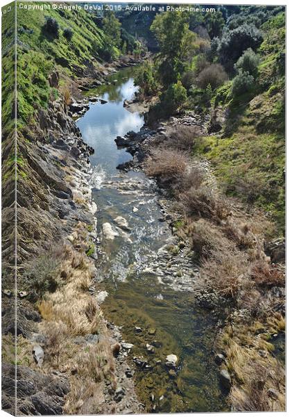 Oeiras Creek stream in Alentejo  Canvas Print by Angelo DeVal