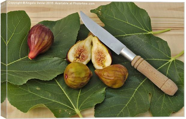 Fresh Figs Canvas Print by Angelo DeVal
