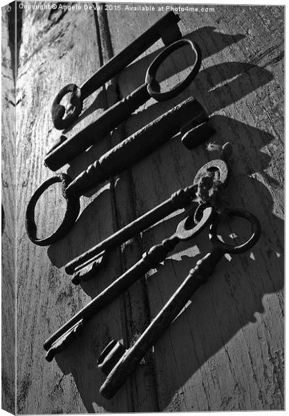 Key Line. Antique skeleton keys  Canvas Print by Angelo DeVal