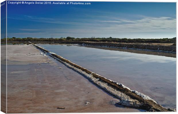 Salt Evaporation Ponds in Algarve Canvas Print by Angelo DeVal