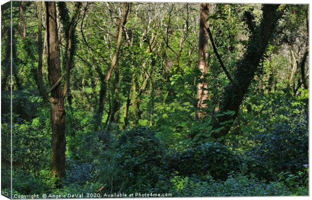 Wild Green in Sintra Canvas Print by Angelo DeVal