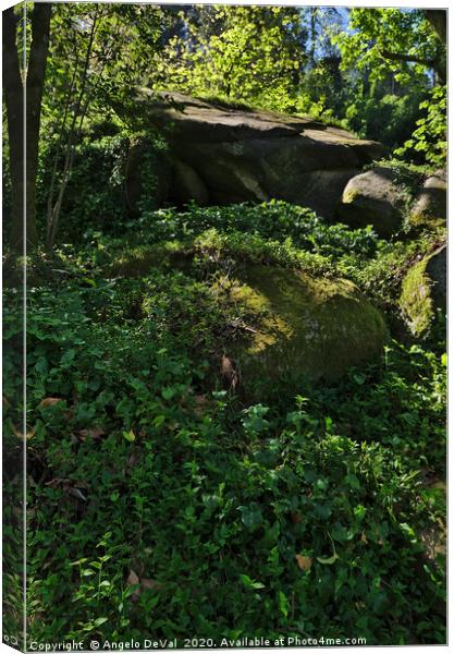 Wild Green in Sintra 2 Canvas Print by Angelo DeVal
