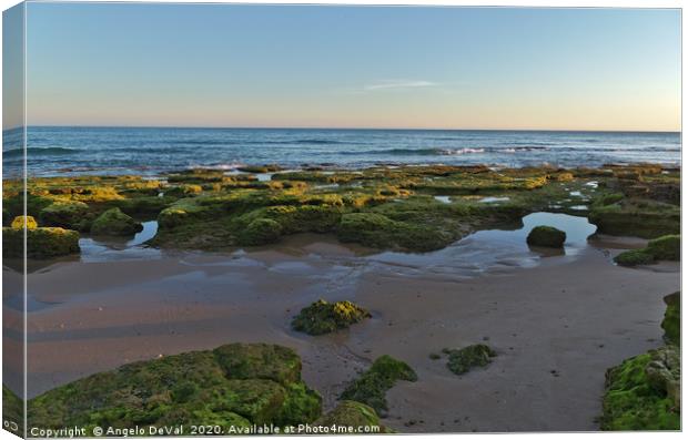 Low tide, sunset and rocks Canvas Print by Angelo DeVal