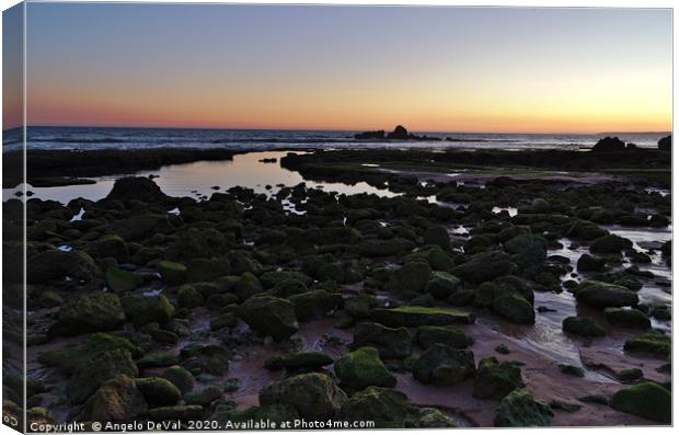 Twilight and rocks in Gale beach Canvas Print by Angelo DeVal