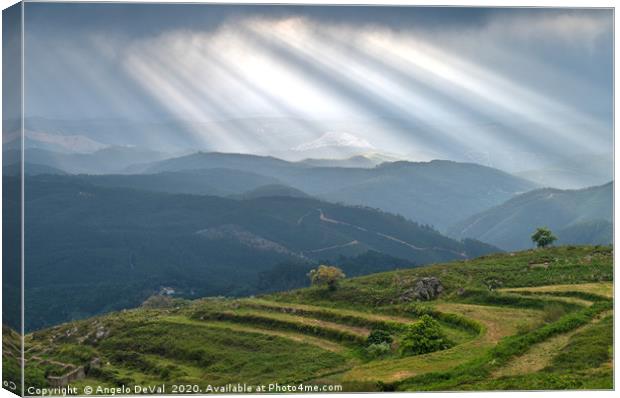 Sunrays over little trees and hill in Monchique Canvas Print by Angelo DeVal