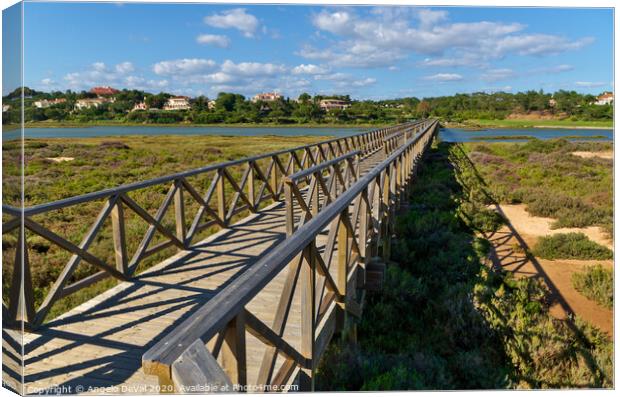 Sunny day and wooden bridge of Quinta do Lago Canvas Print by Angelo DeVal