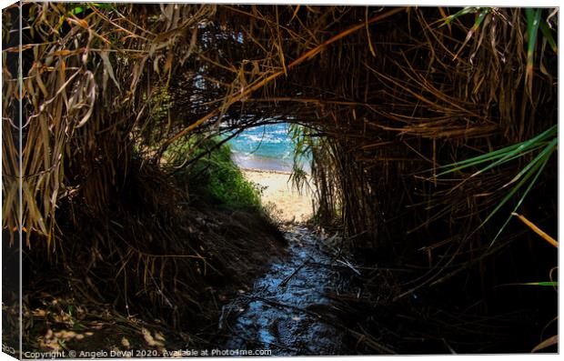 Engardaceira Beach Tunnel Canvas Print by Angelo DeVal