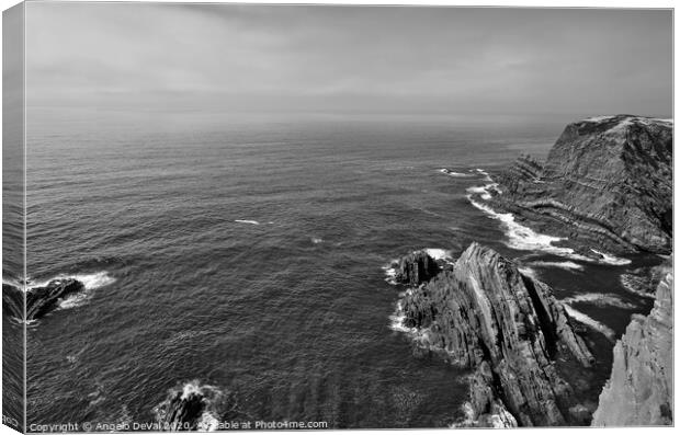 Cabo Sardao Coast in Monochrome Canvas Print by Angelo DeVal