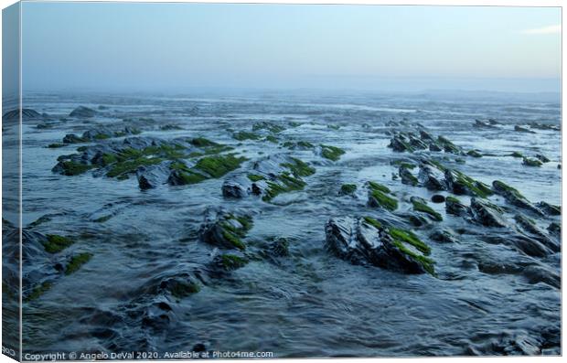 Tidal Scene in Vale Figueiras Beach Canvas Print by Angelo DeVal