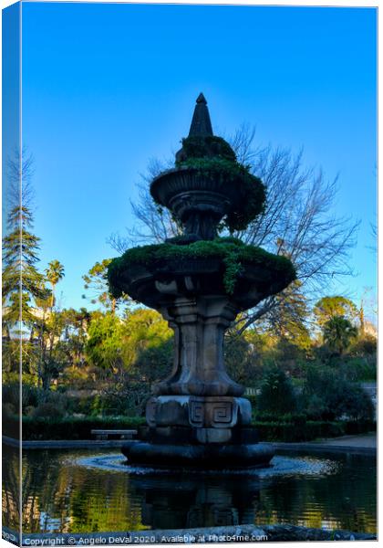 Fountain in the Botanical Garden of the University of Coimbra Canvas Print by Angelo DeVal